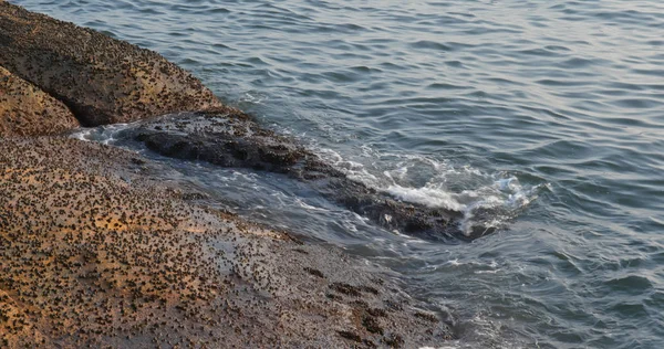 Beautiful Sea Rock Stone — Stock Photo, Image