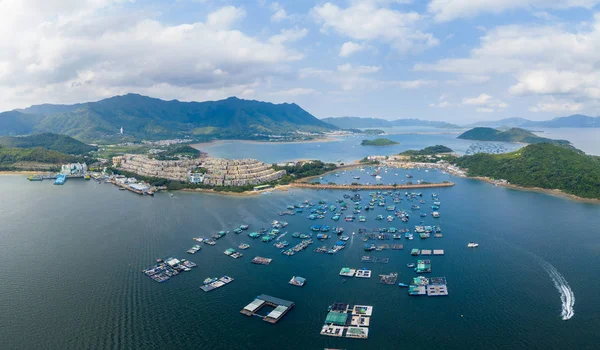 Tai Hong Kong Maja 2019 Widok Góry Port Hongkongu Tolo — Zdjęcie stockowe