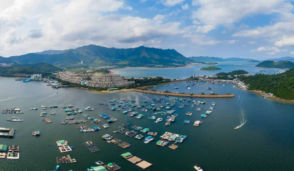 Tai Hong Kong Maja 2019 Widok Góry Port Hongkongu Tolo — Zdjęcie stockowe