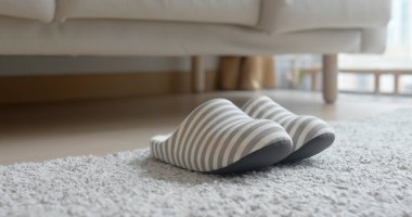 Evde halı üzerinde gri terlik