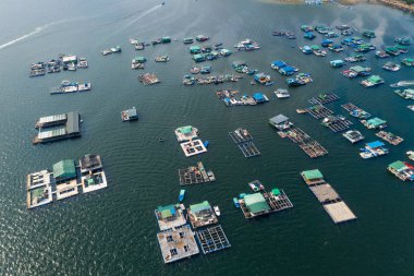 Tai Po, Hong Kong - 19 Mayıs 2019: Sam Mun Tsai in Tai Po