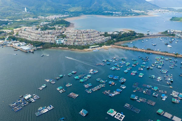 Tai Hong Kong Maja 2019 Sam Mun Tsai Tai — Zdjęcie stockowe