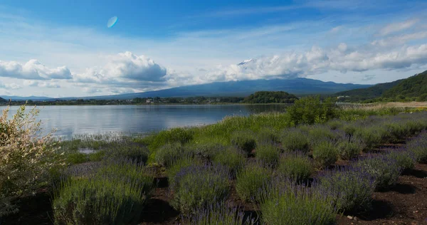 Βουνό Fuji στη λίμνη Καγιαγγκουτσίκο της Ιαπωνίας — Φωτογραφία Αρχείου