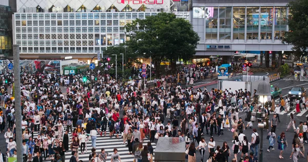 Tokio Japonia Czerwca 2019 Shibuya Cross Tokio — Zdjęcie stockowe