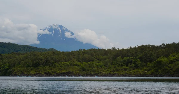 Fujisan i Saiko-sjön — Stockfoto