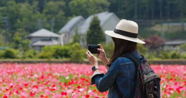 Frau Fotografiert Mit Handy Mohnfeld — Stockfoto