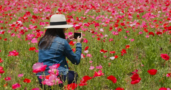 Mujer Tomar Una Foto Jardín Flores Amapola — Foto de Stock