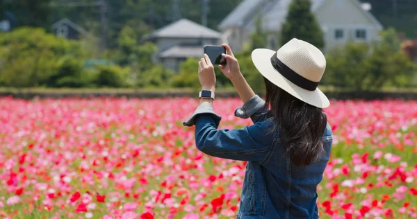 Frau Macht Handy Foto Mohnblumengarten — Stockfoto