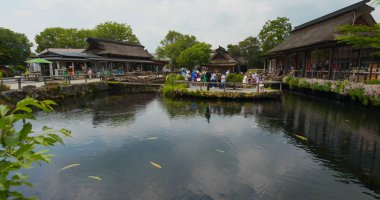 Yamanashi, Japonya - 28 Haziran 2019: Oshino Hakkai'de turistler