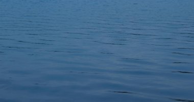 Deniz mavi yüzeyinde ripples