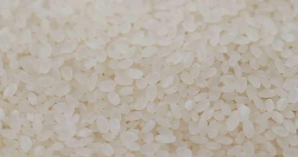 Белый сырой рис в стопке — стоковое фото