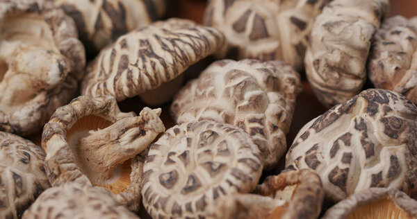 Stack of the dry mushrooms 