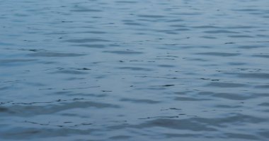 Dalgalar denizin mavi yüzeyinde