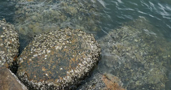 Havskust med sten och sten, ebb-tidvatten — Stockfoto