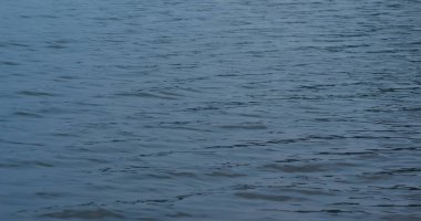 Okyanus Denizi yüzey dalga dalga 
