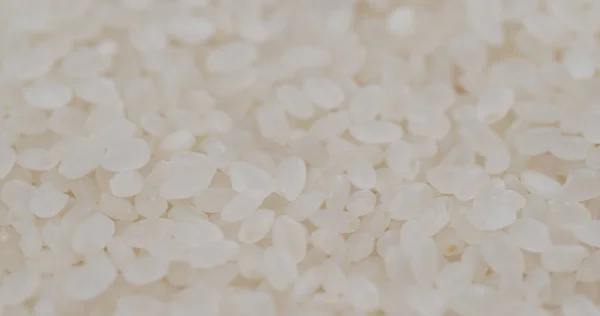 Белый рис высушенный и недоваренный — стоковое фото