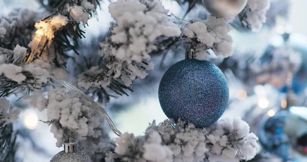 Рождественская ёлка голубого цвета — стоковое фото