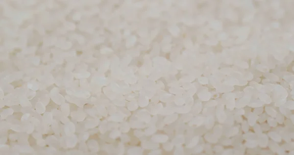 Группа риса сушеного и сырого — стоковое фото