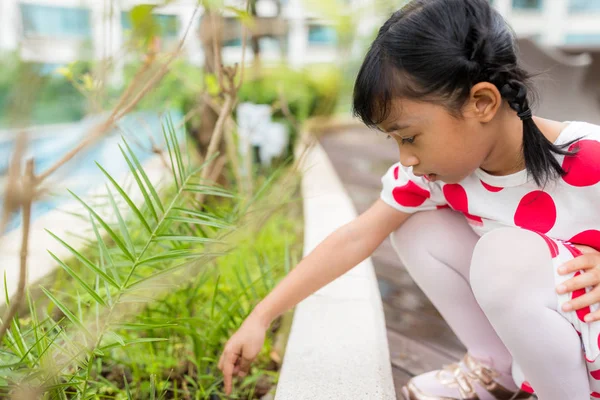 Маленькая девочка прикоснулась к зеленому растению — стоковое фото