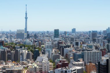 Tokyo, Japonya - 26 Haziran 2019: Tokyo Şehri