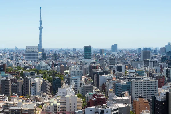 Tokyo Japan Juni 2019 Tokyo Stad — Stockfoto