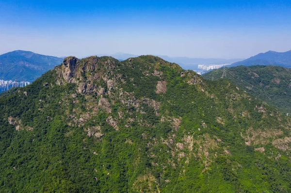 Lejonberg i Hongkong — Stockfoto