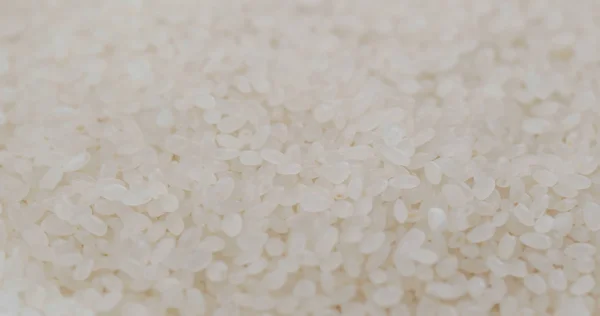 Arroz japonês branco na pilha — Fotografia de Stock