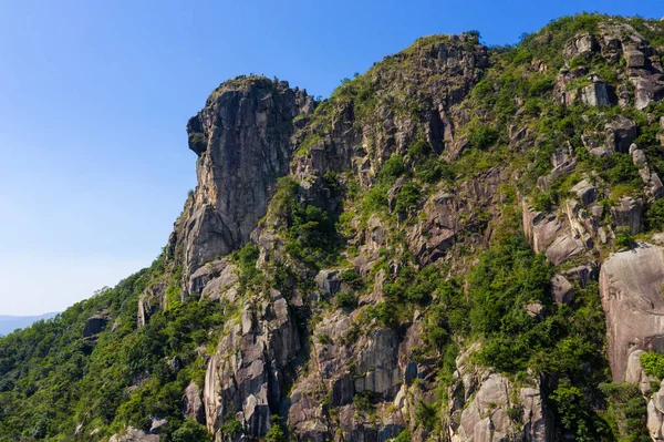 Hong Kong 'daki Lion Rock Dağı. — Stok fotoğraf