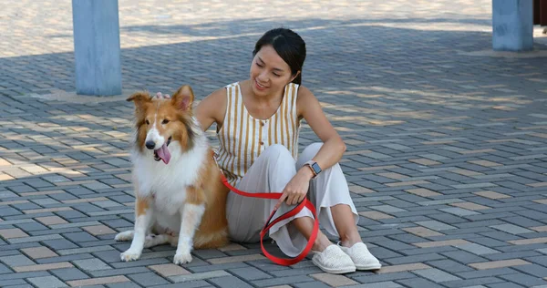 Woman pet owner with her herding dog at outdoor