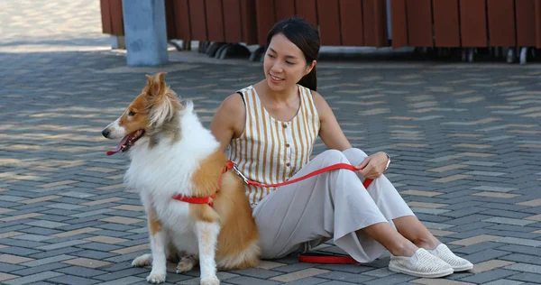 Mulher pet proprietário com seu cão de pastoreio ao ar livre — Fotografia de Stock