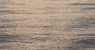 Su koyunda gün batımı zamanı