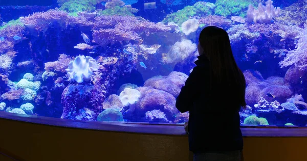 Femme Visite Aquarium Dans Parc Zoologique — Photo