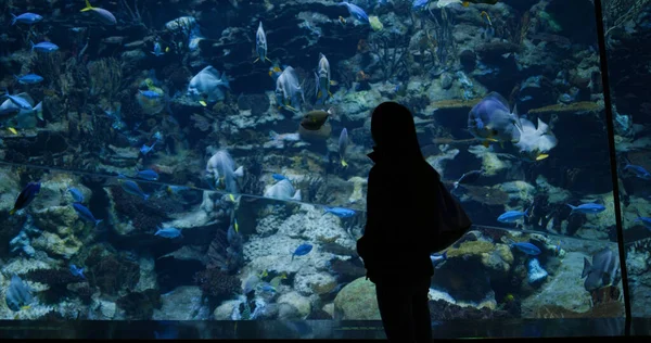 Femme Visite Aquarium Dans Parc Zoologique — Photo