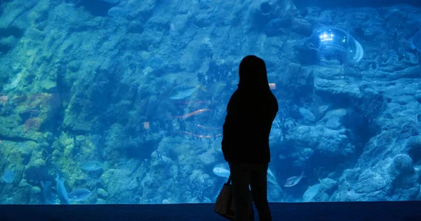 Femme Dans Aquarium Regarde Poisson Intérieur — Photo