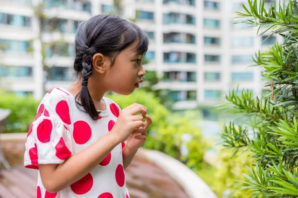 Девочка Посмотри Зеленое Растение — стоковое фото