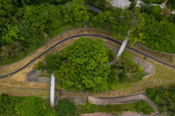 Bovenaanzicht Van Tuinpark — Stockfoto