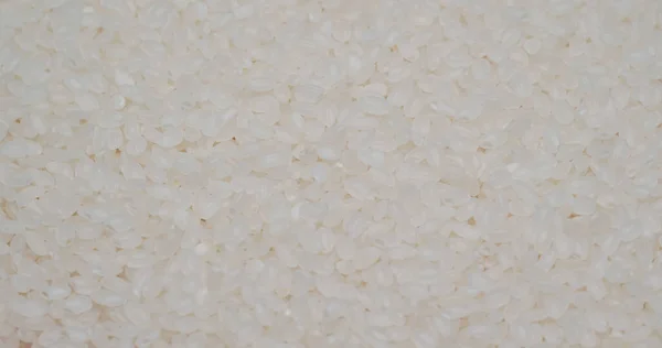 Pilha Arroz Branco Não Cozido — Fotografia de Stock