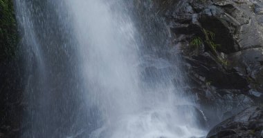 Ormanda güzel bir şelale