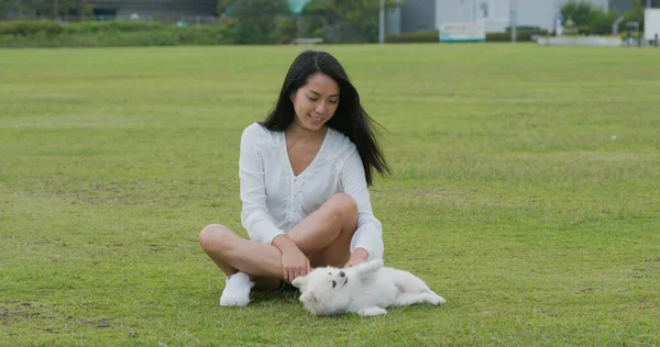 Wanita Bermain Dengan Anjingnya Taman — Stok Foto