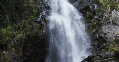 Ormanda güzel bir şelale
