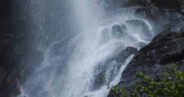 Ormanda güzel bir şelale