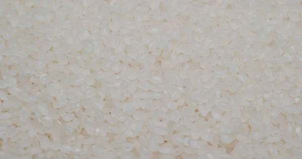 Pilha Arroz Branco Não Cozido — Fotografia de Stock