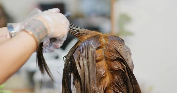 Mujer Teñirse Pelo Salón Belleza —  Fotos de Stock