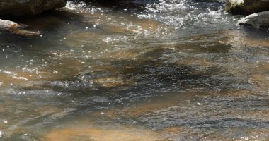 Şelaleden akan sular 