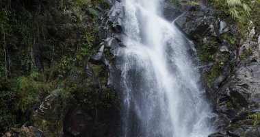 Ormanda güzel bir şelale