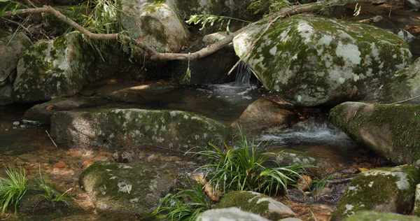 Fluxo Água Através Cascata — Fotografia de Stock