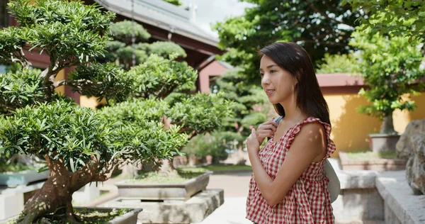 Mulher Olha Para Planta Bonsai Jardim Chinês — Fotografia de Stock