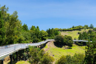 Taichung, Tayvan - 12 Temmuz 2023: Tayvan 'ın Nantou kentindeki Cingjing çiftliğinde Skywalk