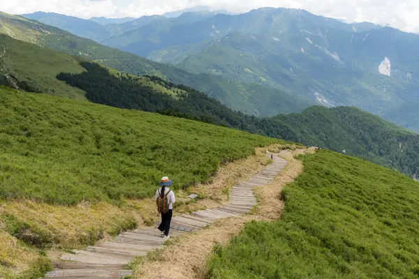 Hike Trail Hiker Woman Walking Mountain — Stock Photo, Image