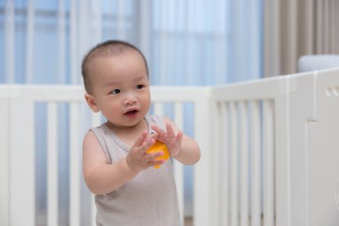 Baby boy playing with toy inside playpen at home